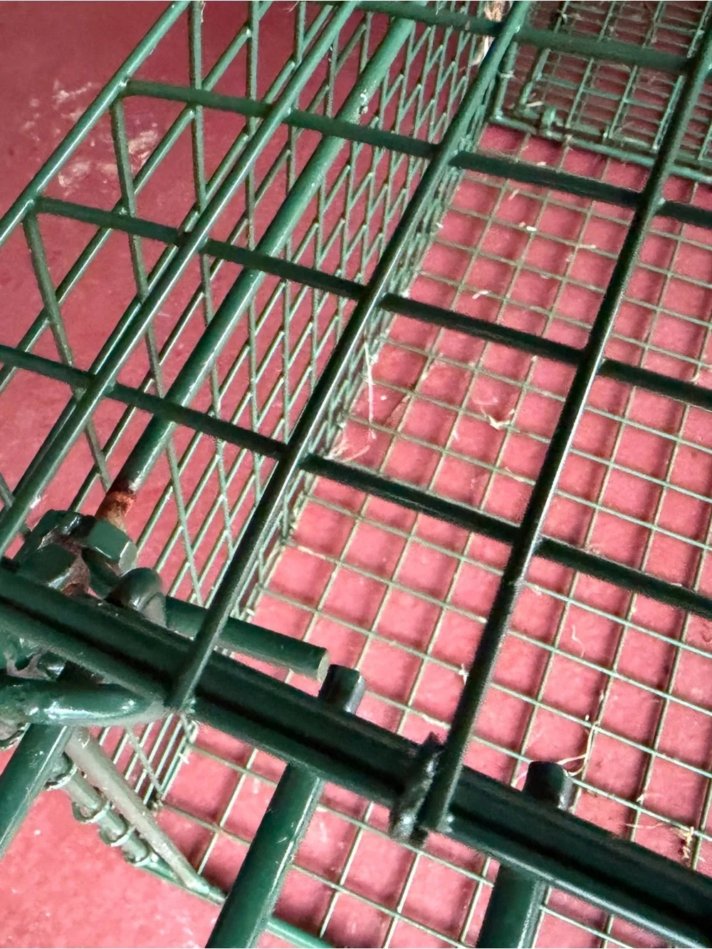 Duke Traps HD Large Cage Trap with Top Carry Handle